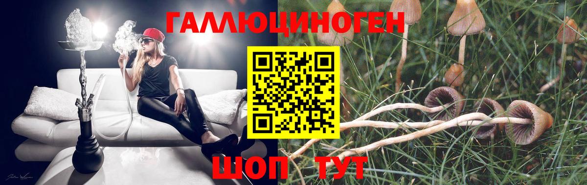 Псков  Псилоцибиновые грибы MAGIC MUSHROOMS  Вход с VPN  Псилоцибиновые грибы мухоморы 