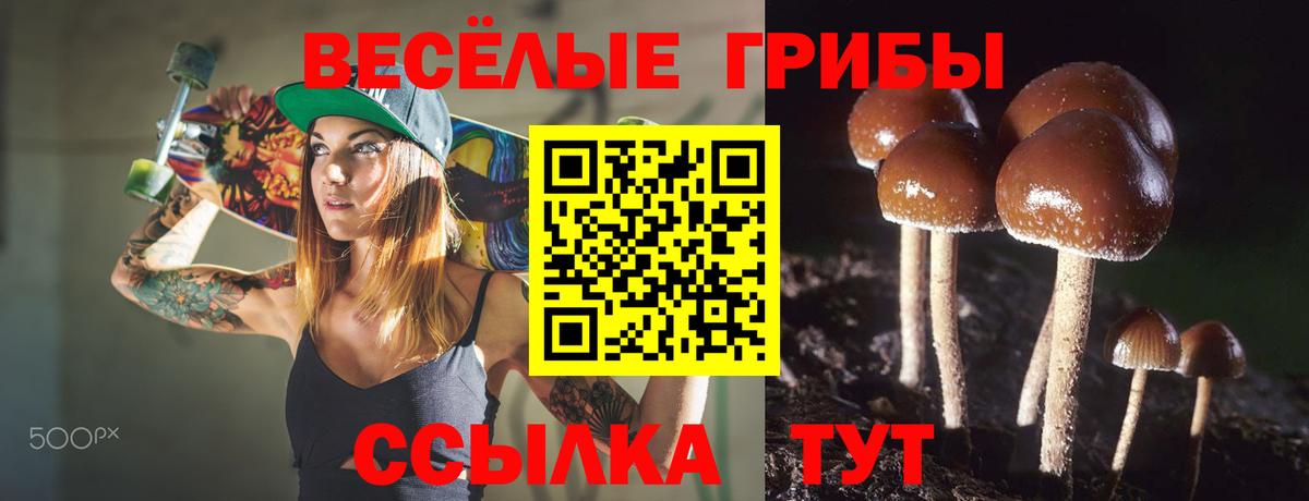 Галлюциногенные грибы мицелий Псков
